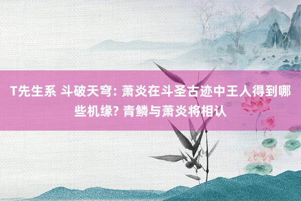 T先生系 斗破天穹: 萧炎在斗圣古迹中王人得到哪些机缘? 青鳞与萧炎将相认