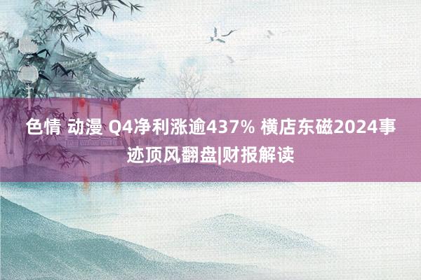 色情 动漫 Q4净利涨逾437% 横店东磁2024事迹顶风翻盘|财报解读