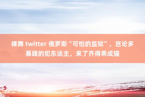 裸舞 twitter 俄罗斯“可怕的监狱”，岂论多暴躁的犯东谈主，来了齐得乖成猫