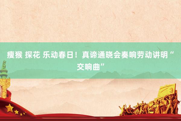 瘦猴 探花 乐动春日！真谛通晓会奏响劳动讲明“交响曲”