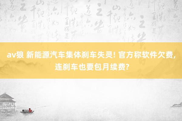 av狼 新能源汽车集体刹车失灵! 官方称软件欠费， 连刹车也要包月续费?