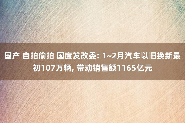 国产 自拍偷拍 国度发改委: 1~2月汽车以旧换新最初107万辆， 带动销售额1165亿元