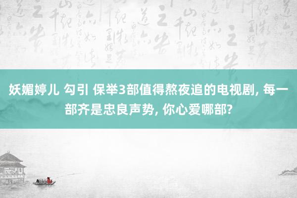 妖媚婷儿 勾引 保举3部值得熬夜追的电视剧， 每一部齐是忠良声势， 你心爱哪部?