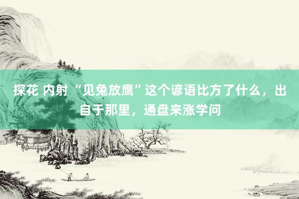探花 内射 “见兔放鹰”这个谚语比方了什么，出自于那里，通盘来涨学问