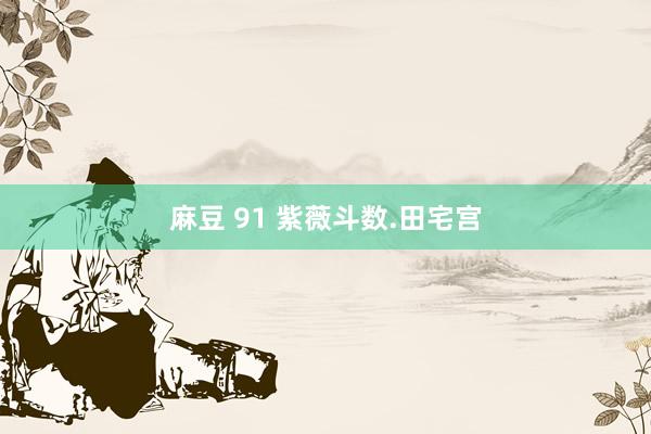 麻豆 91 紫薇斗数.田宅宫